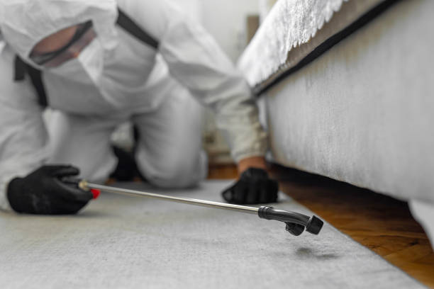 Professional Bed Bug Control technician working in Woodlawn, VA