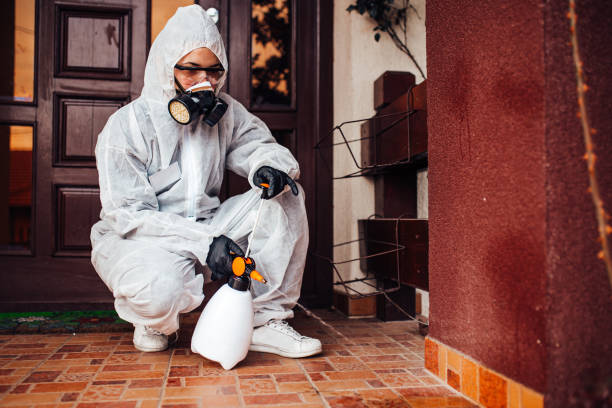 Reliable Bed Bug Control contractor in Woodlawn, VA by Nex Pest Control