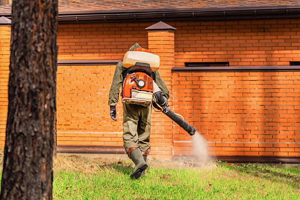 Trusted Cockroach Control service in Woodlawn, VA - Nex Pest Control